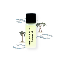 Load image into Gallery viewer, Cove Smelly Balls - Coastal Drift Fragrance