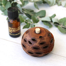 Load image into Gallery viewer, Aroma Banksia Pod Gift Boxes