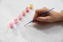 Load image into Gallery viewer, Paint By Numbers - Various Designs
