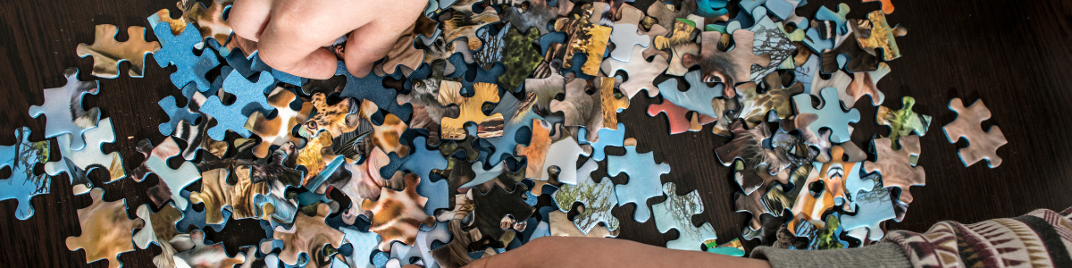 PUZZLES & GAMES – ROGUE BEAR