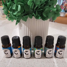 Load image into Gallery viewer, Rogue Bear Fragrance Oil - 10ml
