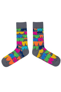 Spencer Flynn Mens Socks