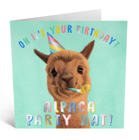 Birthday Alpaca Party Hat - Greeting Card