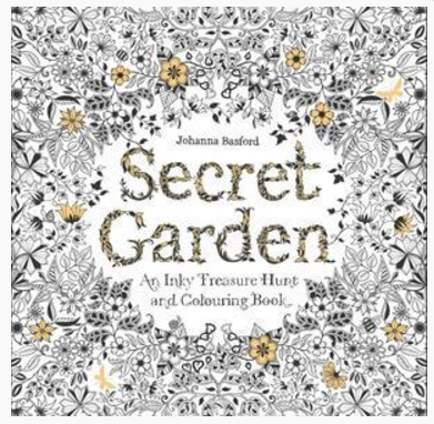 Secret Garden : An Inky Treasure Hunt & Colouring Book