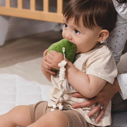 Baby Stroller Toys - Avocado & Egg on Toast 2pk