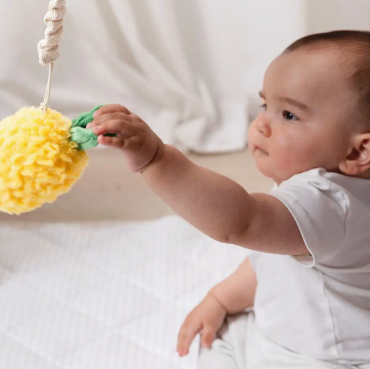 Baby Stroller Toys - Pineapple & Cherries 2pk