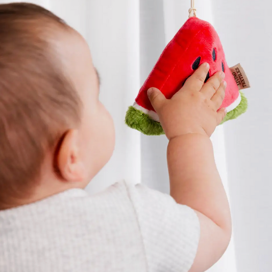 Baby Stroller Toys - Watermelon & Blueberry 2pk