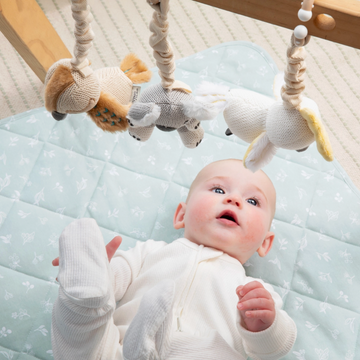 Baby Stroller Toys - Koala & Cockatoo 2pk