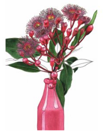 Flowering Gum Vase Greeting Card