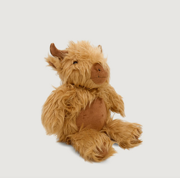 Hamish The Highland Cow