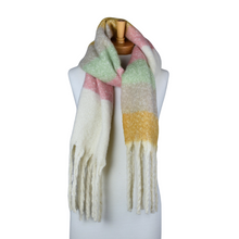 Load image into Gallery viewer, Striped Fringe Scarf Assorted Colours
