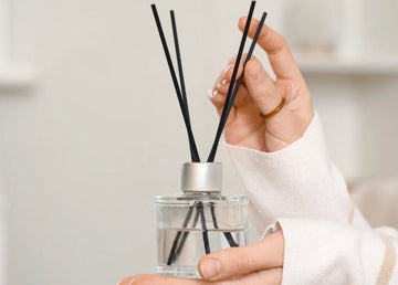 Reed Diffuser 100ml - No Label - Bulk Buy x6 ~ Wine Cellar