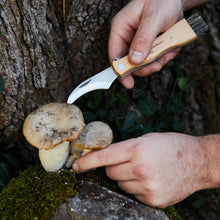 Load image into Gallery viewer, Foraging Knife
