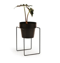 Load image into Gallery viewer, Bendo Plant Stand Mini &amp; Small Pot
