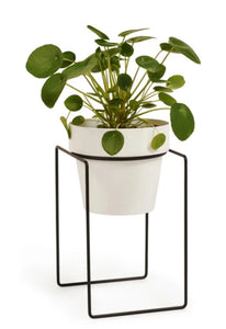 Bendo Plant Stand Mini & Small Pot