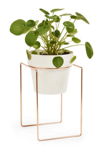Bendo Plant Stand Mini & Small Pot