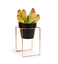 Load image into Gallery viewer, Bendo Plant Stand Mini &amp; Small Pot
