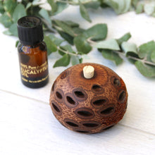 Load image into Gallery viewer, Aroma Banksia Pod Gift Boxes
