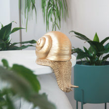 Load image into Gallery viewer, Shelf Snail - Gold
