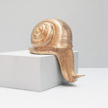 Load image into Gallery viewer, Shelf Snail - Gold
