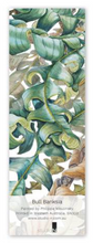 Load image into Gallery viewer, Bookmark Bull Banksia
