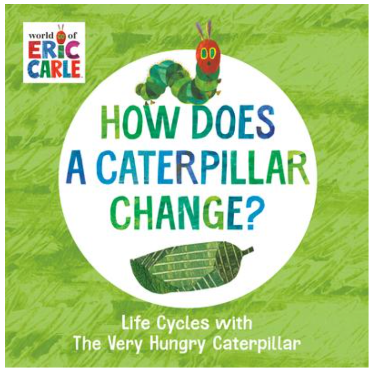 How Does A Caterpillar Change?