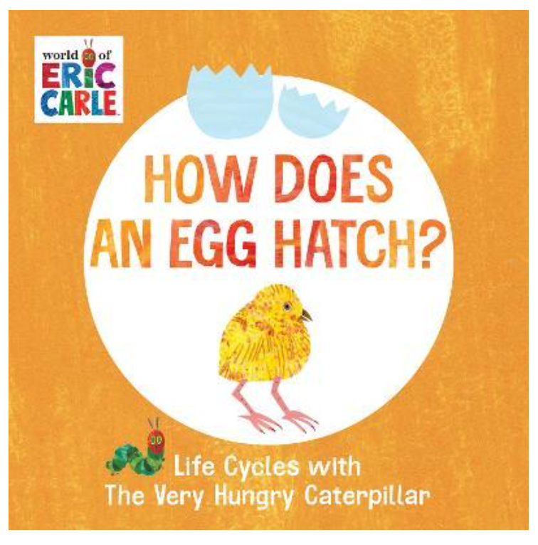 How Does An Egg Hatch?