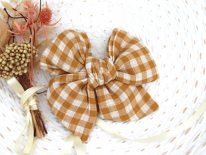 Pinwheel Bow Assorted Colours