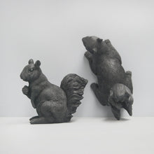 Load image into Gallery viewer, Squirrel Wall Decor Set
