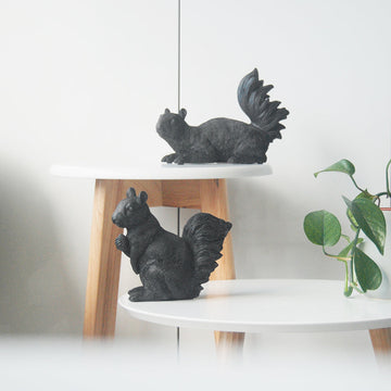 Squirrel Wall Decor Set